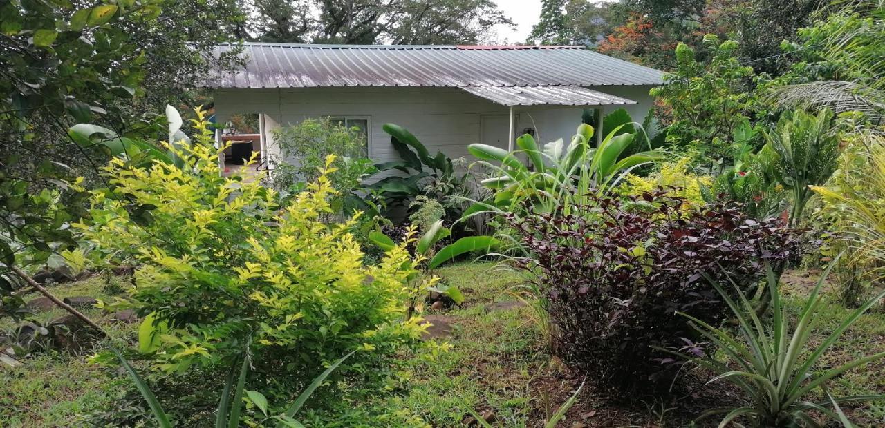 Villa Casa De Andrea Santo António Exterior foto